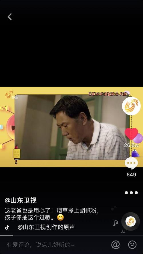 毛人龙被爆料视频播放在线观看,揭秘事件背后真相 第2张 毛人龙被爆料视频播放在线观看,揭秘事件背后真相 第2张