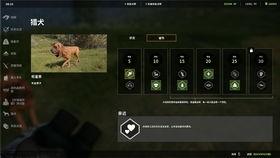 荒野的召唤最新爆料,揭秘神秘新世界，探险之旅即将开启！